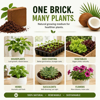 Stop Killing Your Plants With Bad Soil.