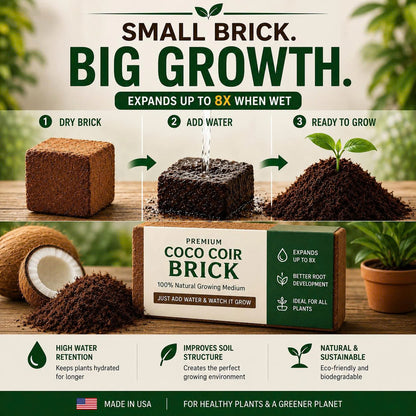 Stop Killing Your Plants With Bad Soil.