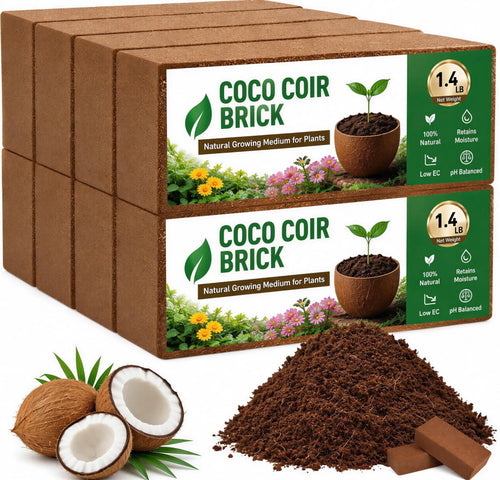 Stop Killing Your Plants With Bad Soil.