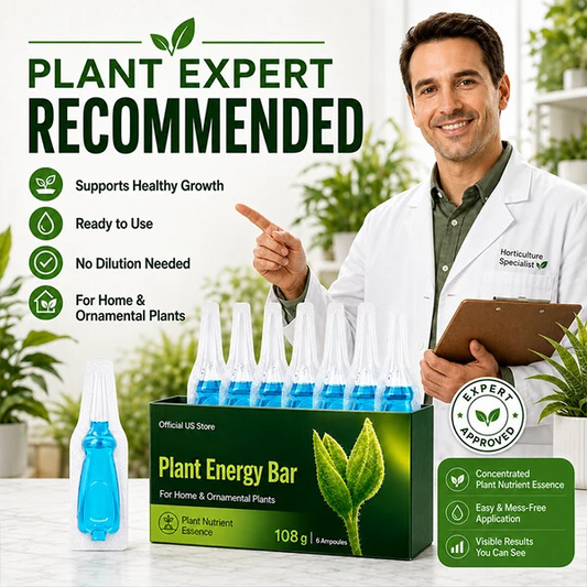 Plant Energy Bar